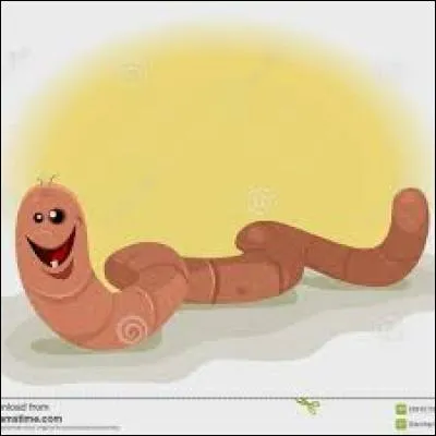 Quel est le mot bien orthographié ?