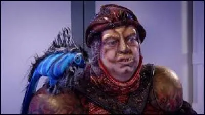 Quel est le nom du perroquet de Bigre ?