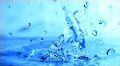 Toutes les matières vivantes contiennent de l'eau, indispensable à la photosynthèse des végétaux. Les animaux en ont besoin pour digérer et éliminer. L'eau aide à la circulation sanguine.