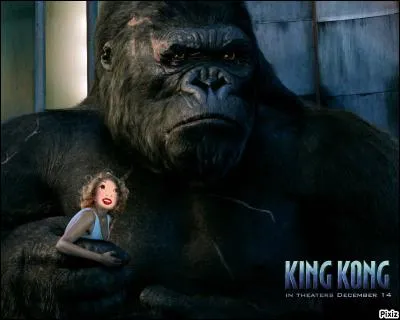 Docteur, je suis King Kong, quel animal suis-je ?
