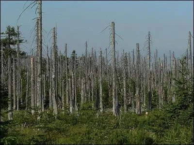 Sur quelle planète peut-on avoir des pluies d'acide sulfurique ? (sauf sur notre Terre où c'est dû aux activités humaines)