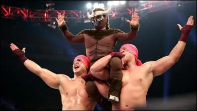 Quelle est l'origine des ''Los Matadores'' ?