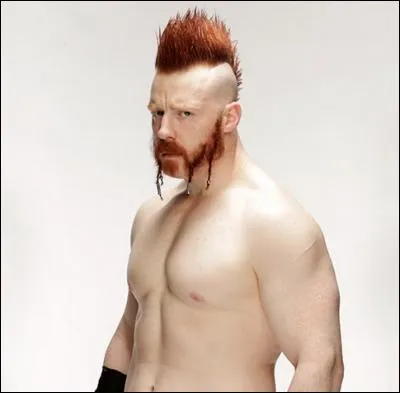Quel est le pays de Sheamus ?
