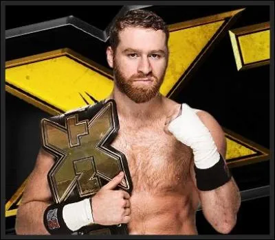 Quelle est l'origine arabe de Sami Zayn ?