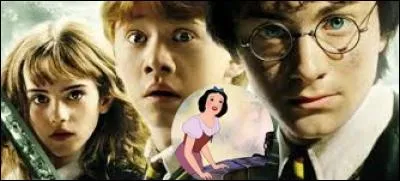 Docteur, mon nom est Lily Evans, quel sera le prénom de mon enfant ?