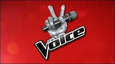 Qui a gagné la saison 3 de "The Voice" ?