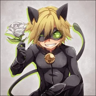 Qui est le garçon de la photo et de quelle animation vient-il ?