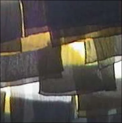 Comment calcule-t-on les fréquences en pourcentage, dans un tableau ?