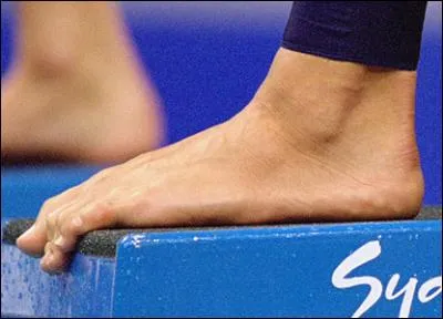 Ce pied appartient à...