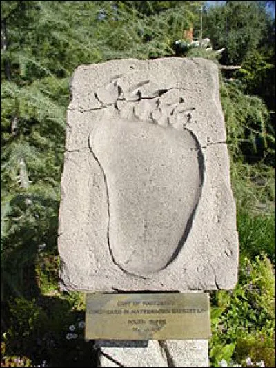 Cette « empreinte » est exposée à Disneyland et appartient à...