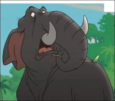 Comment s'appelle-t-il ?