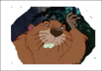 Comment s'appelle-t-il ?