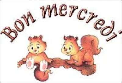 Qui a dit : "Le Conseil des sinistres, c'est le mercredi, le jour des gosses. Ils vont au sable, ils font des pâtés, c'est sympa. Le Garde des seaux est là." ?