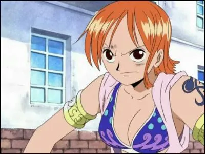 Qui vole son trésor et qui rejoint temporairement l'équipage de Luffy ?