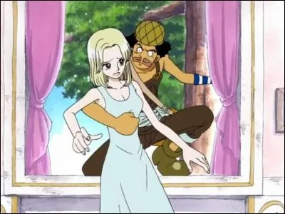 Qui est la fille qu'Ussop veut sauver ?