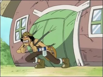 Que fait Ussop à la fin ?