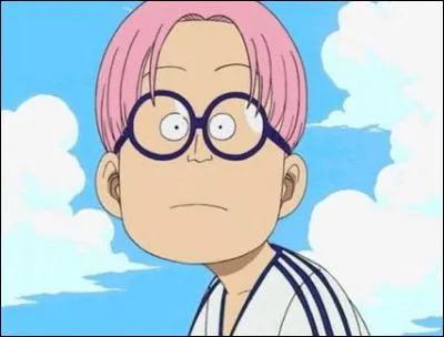 Qui est le jeune garçon que rencontre Luffy et qui veut rejoindre la Marine ?