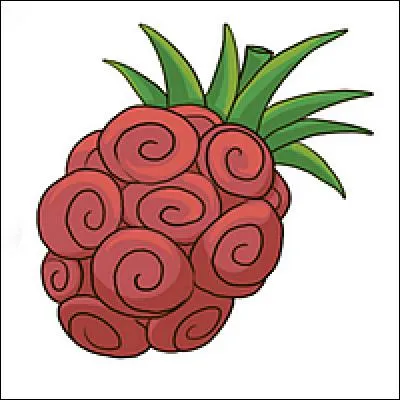 Quel est son fruit du démon ?
