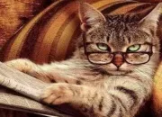 Quiz L'actualit tout azimut