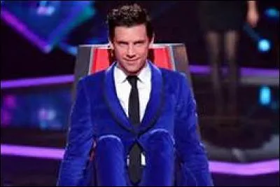 Qui sont les coachs qui l'accompagnent dans "The Voice 5" ?