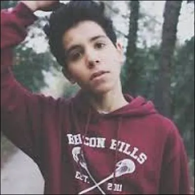 Quel est son statut ?