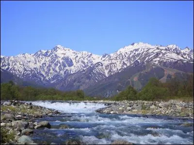 Nom donné à la crevette rose ou bouquet !