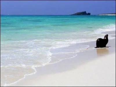 La réponse est plutôt trompeuse, alors faites le poids pour la trouver !