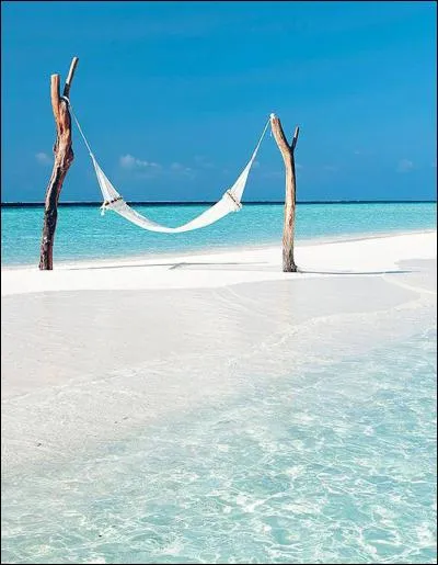 Comparaison voilée, dans laquelle se cache une part de vérité !