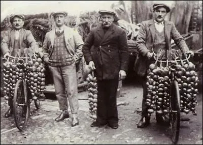Comment appelait-on au 19e siècle les marchands de la ville de Roscoff en Bretagne, qui partaient vendre leurs oignons en Angleterre ?