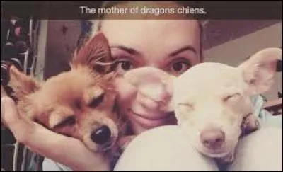 Quel est le titre de sa première vidéo ?