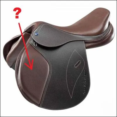 Comment se nomme(nt) la(les) partie(s) de la selle, indiquée(s) par la flèche ?