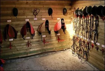 À quoi sert la sellerie ?