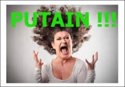 Qui a écrit la chanson "Putain de camion" en hommage au parrain de sa fille ?