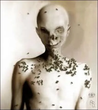 Celui-ci le détrônera un jour, surnommé le "Seigneur des mouches" : qui est-il ?