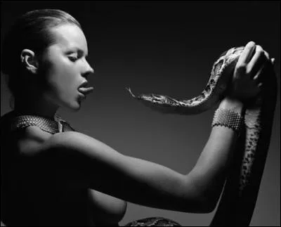 Qui est cette princesse des démons succubes ?