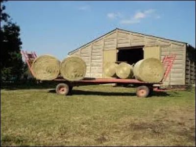À quoi sert un plateau à paille ou à foin ?