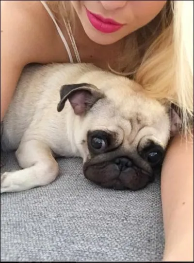 Comment s'appelle son chien ?