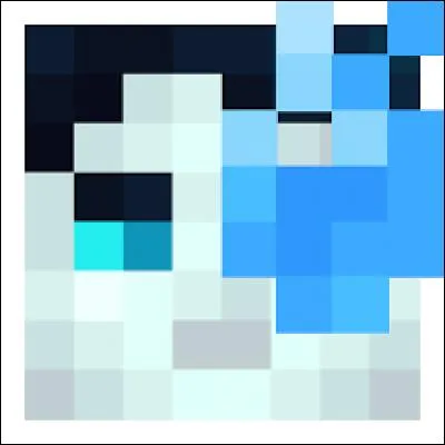 À qui appartient cette tête ?