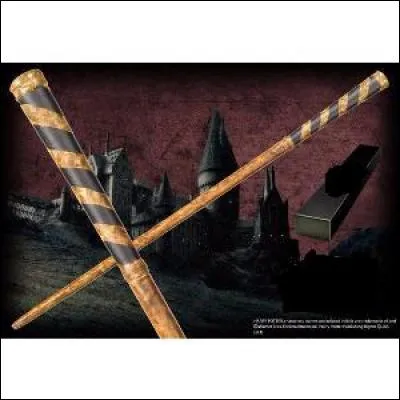 À qui appartient cette baguette ?