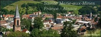 Sainte-Marie-aux-Mines, commune du Haut-Rhin, abrite un large patrimoine minier. Ses habitants sont...