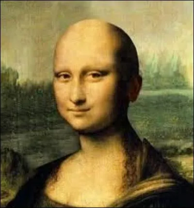 Restons dans le thème des expressions et complétez celle désignant le fait d'être dépourvu de cheveu sur le crâne : "N'avoir plus un poil ..."