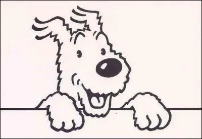 Quelle est la race de Milou le chien de Tintin ?