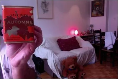 Voici venir l'automne et son thé Rooibos aussi appelé ... et qui a la particularité ... (remplir les pointillés)