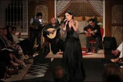 Un chant mélancolique accompagné d'instruments à cordes pincées est un genre musical portugais qu'on appelle...