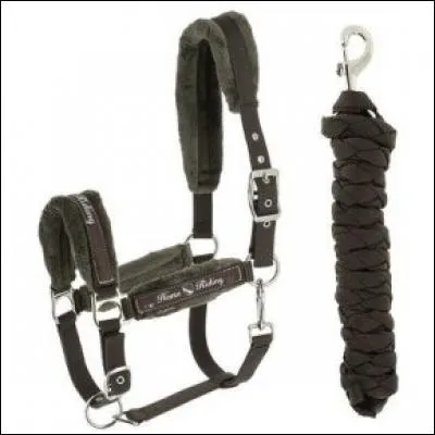 Quel est le nom de cet objet ?