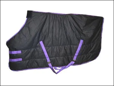 Quel est cet objet ?