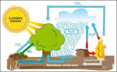 Qu'en sera-t-il de la biomasse ?