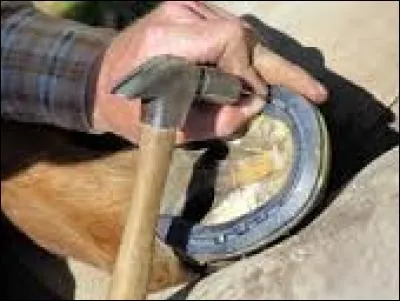 Laquelle de ces parties fait partie du clou du fer à cheval ?