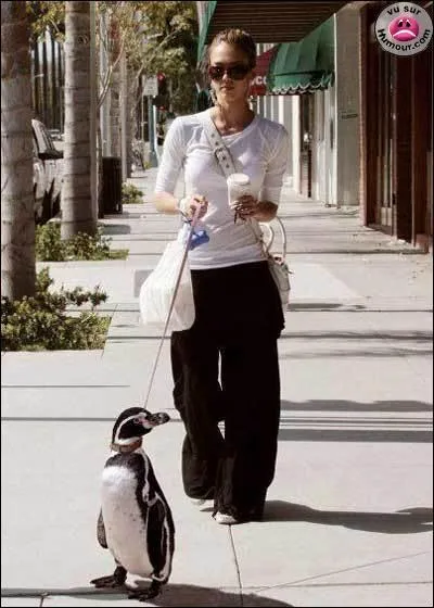 A quel film peut vous faire penser cette image ?