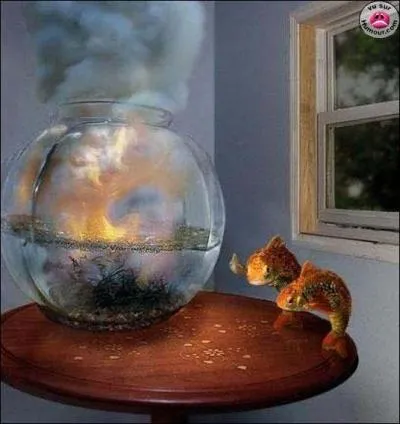 A quel film peut vous faire penser cette image ?